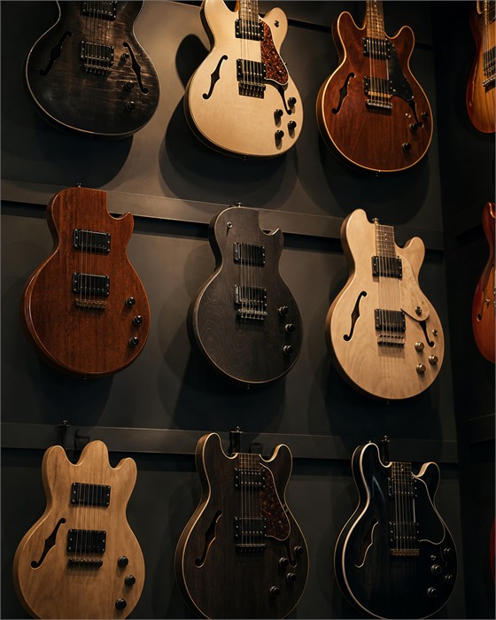 Gitar Dünyası